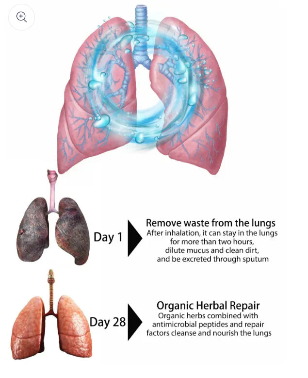 LOVILDS™ Organic Herbal Lung Cleanse Repair Nasal Spray